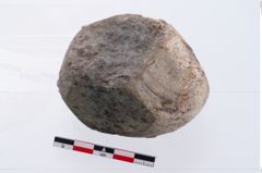 Foto von Reibstein (NHMW-PRAE-003497)